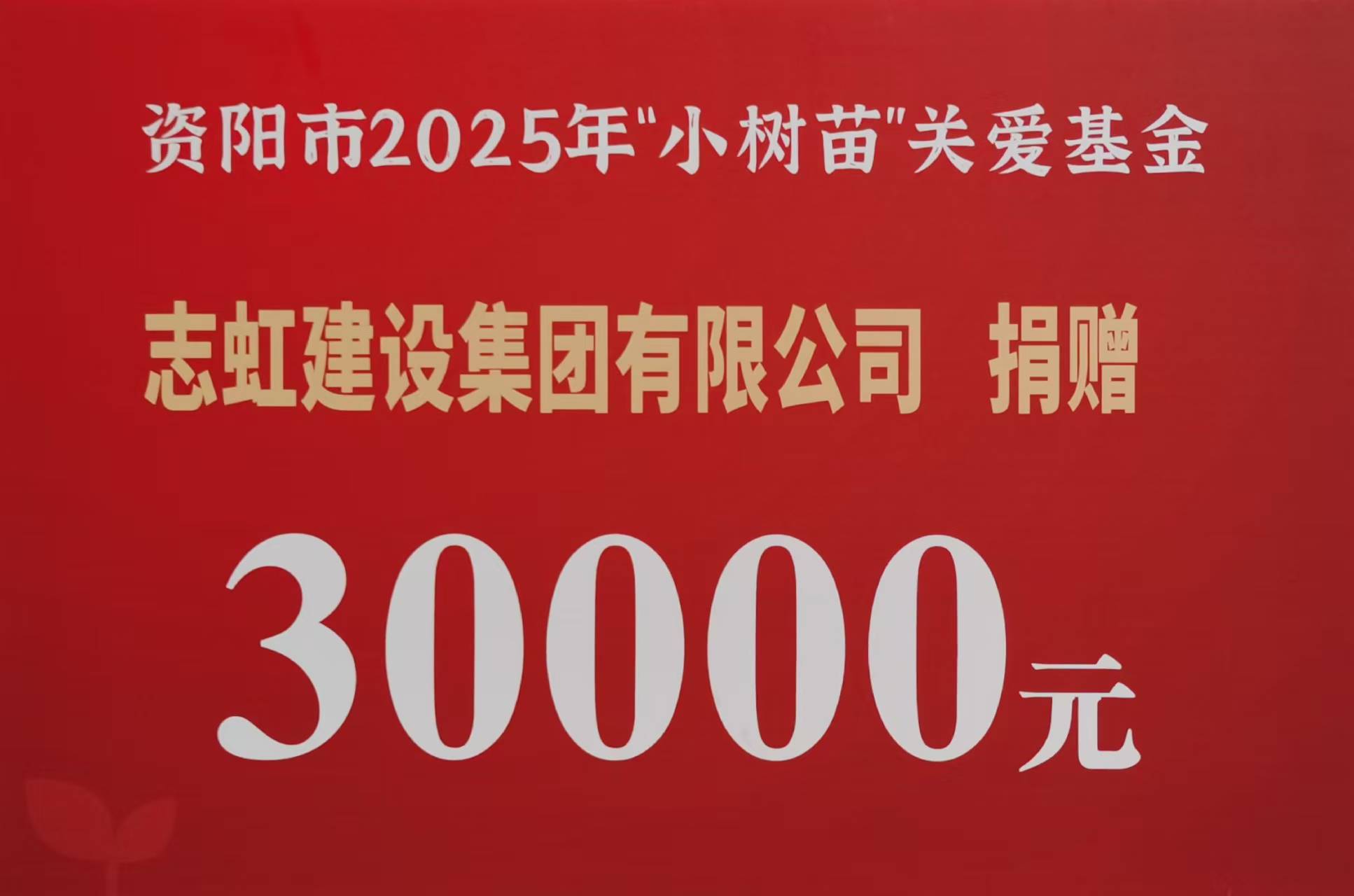 善行润资阳，同心护未来(图3)